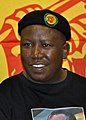 Image 8Picture of Julius Malema. The African nationalist and Pan-Africanist, and current leader of the Economic Freedom Fighters (EFF) in South Africa.