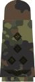 black emblem on 5-colour-flecktarn – Luftwaffe (Stabshauptmann)