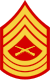 E-8 insignia