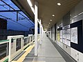 The platform at night, 2019