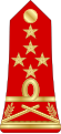 Général d'armée (Malagasy Ground Forces)[15]