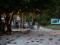 Atafu street at dawn