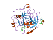 2feq: orally active thrombin inhibitors