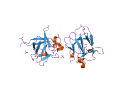 2j3p: CRYSTAL STRUCTURE OF RAT FGF1 AT 1.4 A