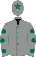 Grey, dark green spots on sleeves, grey cap, dark green star