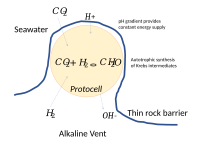 Protocells in contact with a thin rock barrier in a hydrothermal vent get a free supply of energy from the pH gradient.[3]