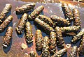 Pupae