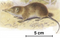 Stub icon