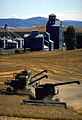 A farm in Whitman County