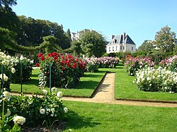 Thabor parc