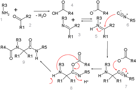 Detailed Ugi mechanism