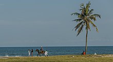 Horse-ride-at-elegushi-beach