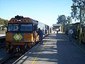 The Indian Pacific at the terminal