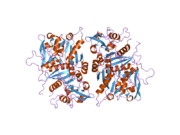 2d0j: Crystal Structure of Human GlcAT-S Apo Form