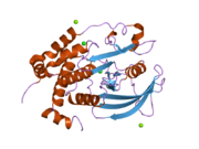 2f6f: The structure of the S295F mutant of human PTP1B