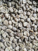 Fermented coffee (green) seeds without hulls