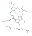 bacteriochlorophyll d