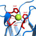 The copper site in plastocyanin features two imidazole, a thioether, and a thiolate