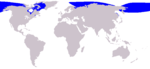 Beluga whale range