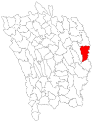 Location in Vaslui County