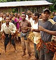 Image 30Dancers greet visitors to the East Region, 2006 (from Cameroon)