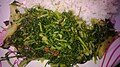 Garden cress saag (known as chamsur in Nepali) is a popular dish in Nepalese cuisine.