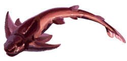 Kudjanowiaspis