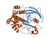 2nta: Crystal Structure of PTP1B-inhibitor Complex