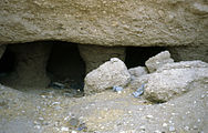 Portico of the tomb, columns half buried in the sand.