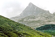 Green mountain pastures. In the background a rocky peak.