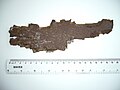 Artillery shell fragment from the Gulf War