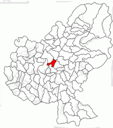 Location in Mureș County