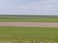 A typical landscape of Champagne chalk in the south of the department.