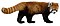 Red panda