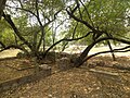 Unknown Mughal graves