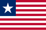 Flag of Florida (January 13 – September 27, 1861, Unofficial)