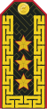 Mongolian Army-LTG-service