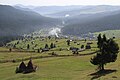 Slătioara secular forest, a UNESCO World Heritage Site, with a waldhufendorf (i.e. forest village) in the background.