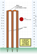 Image 7A wicket consists of three stumps, upright wooden poles that are hammered into the ground, topped with two wooden crosspieces, known as the bails. (from Laws of Cricket)