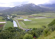 Lower Hanalei Valley.jpg