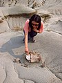 Dinosaur Provincial Park