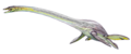 Elasmosaurus platyurus