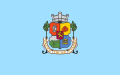 Flag of Sofia