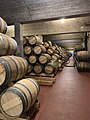 Muga Wine cellar, Haro, Spain