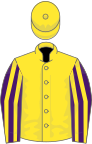 Yellow, Purple and Yellow striped sleeves