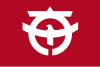 Flag of Taishi