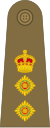 Colonel