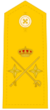 General de División