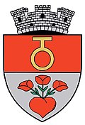 Coat of arms of Ghimbav