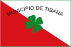 Flag of Tibaná